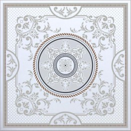 Gạch lát sàn Trường Thịnh GENESIS SERIES TT66915D